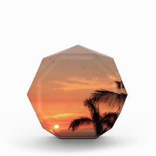 Orange Hawaiian Sunset, Birds and Palm Trees Award