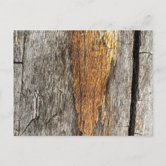 Orange Heart in Weathered Wood Postcard