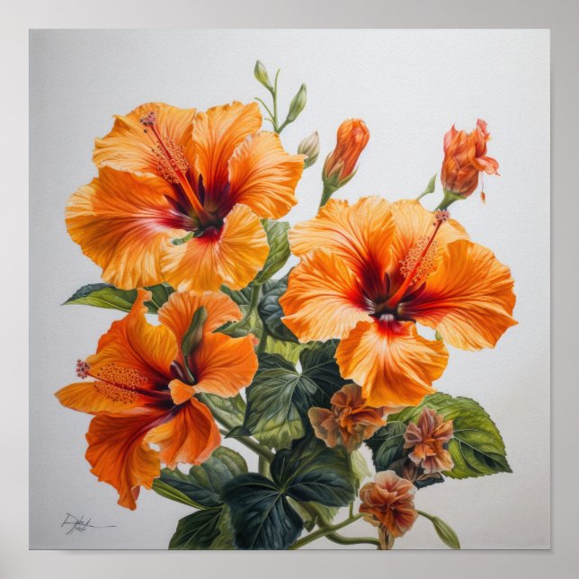 Orange Hibiscus Flower Art Print Poster (Front)