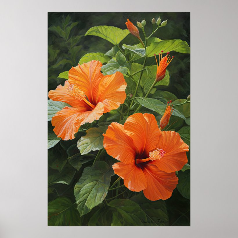 Orange Hibiscus Flower Art Print Poster (Front)