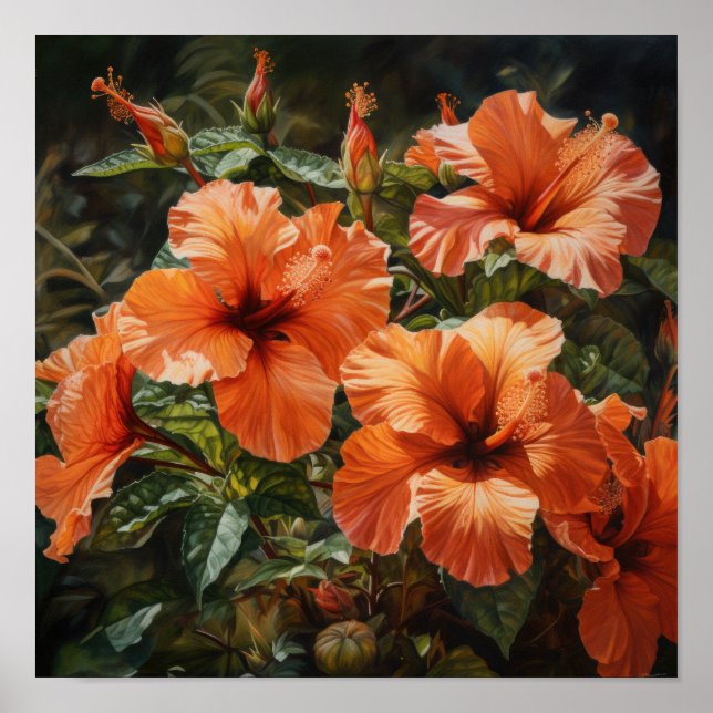 Orange Hibiscus Flower Art Print Poster (Front)