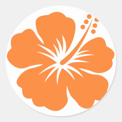 Orange hibiscus flower classic round sticker