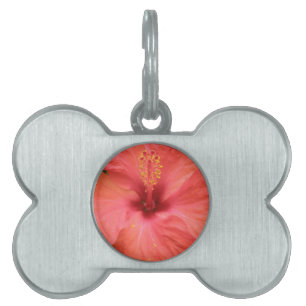 Orange Hibiscus Flower Macro Pet Tag