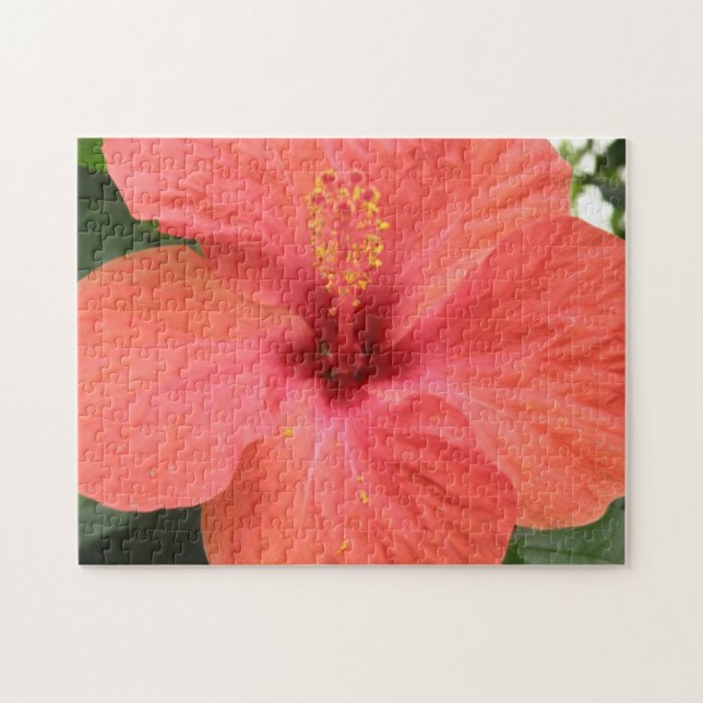 Orange Hibiscus Flower Macro Puzzle (Horizontal)