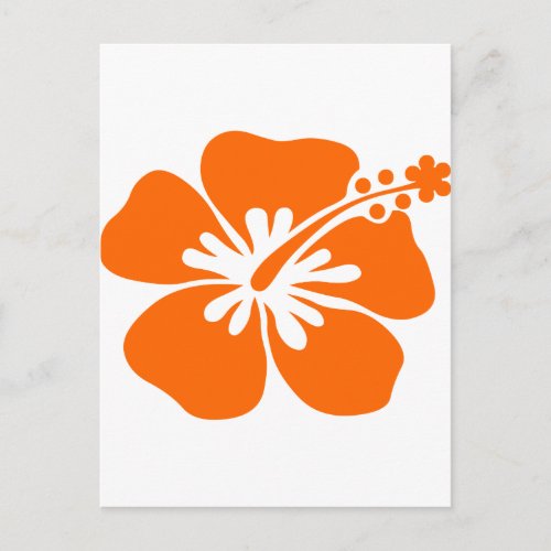 Orange hibiscus flower postcard