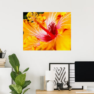 Orange Hibiscus Flower Side View 30x24 Poster
