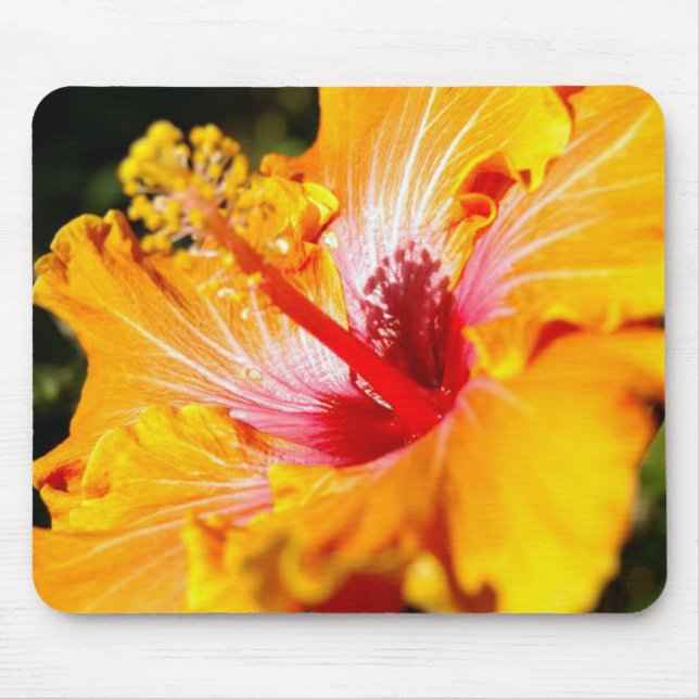 Orange Hibiscus Flower Side View Mouse Pad (Front)