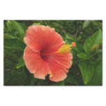 Orange Hibiscus Flower Tissue Paper