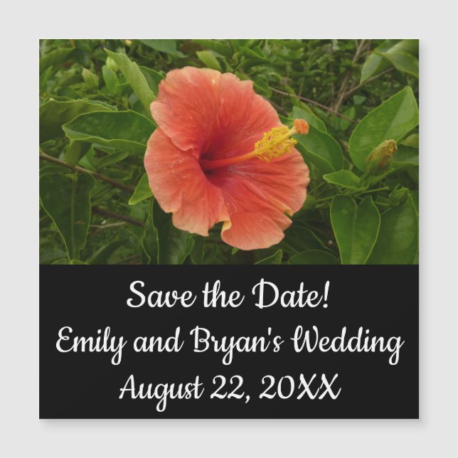 Orange Hibiscus Flower Tropical Floral (Front)