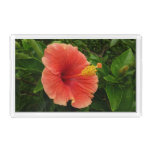 Orange Hibiscus Flower Tropical Floral Acrylic Tray