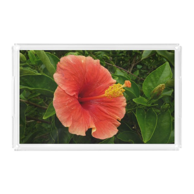 Orange Hibiscus Flower Tropical Floral Acrylic Tray (Front)
