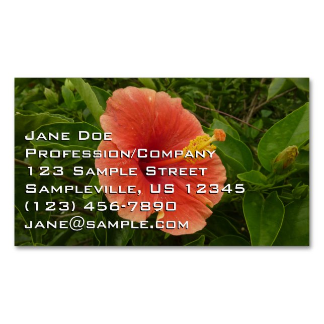 Orange Hibiscus Flower Tropical Floral Business Card Magnet (Front)