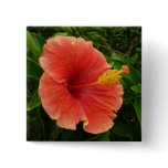 Orange Hibiscus Flower Tropical Floral Button