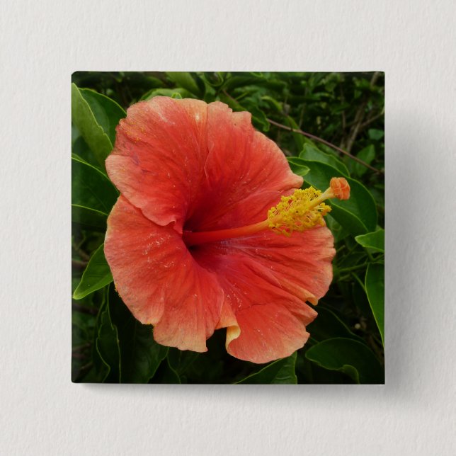 Orange Hibiscus Flower Tropical Floral Button (Front)
