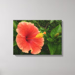 Orange Hibiscus Flower Tropical Floral Canvas Print