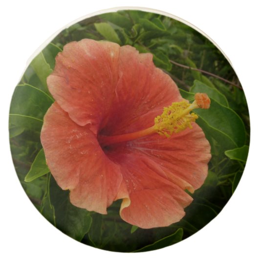 Orange Hibiscus Flower Tropical Floral Chocolate Covered Oreo (Front)