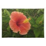 Orange Hibiscus Flower Tropical Floral Cloth Placemat