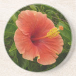 Orange Hibiscus Flower Tropical Floral Coaster