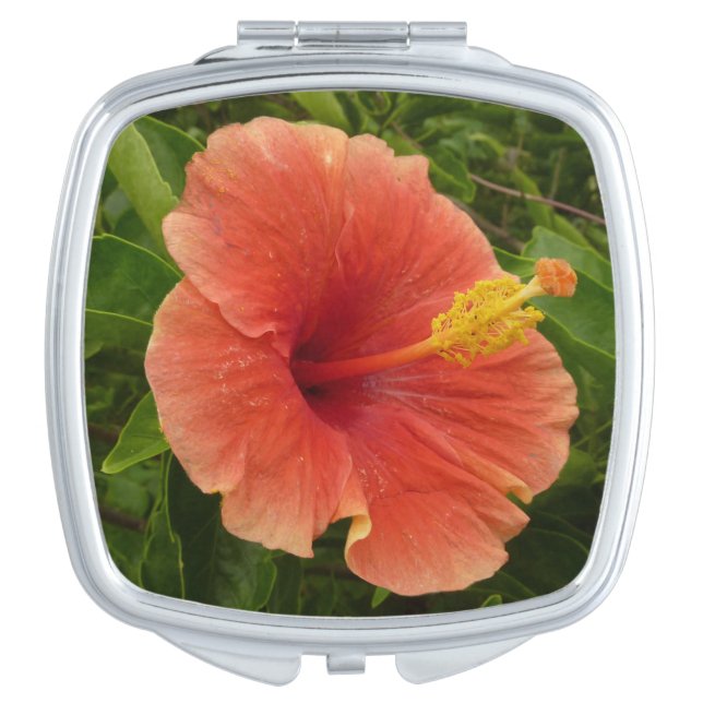 Orange Hibiscus Flower Tropical Floral Compact Mirror (Front)