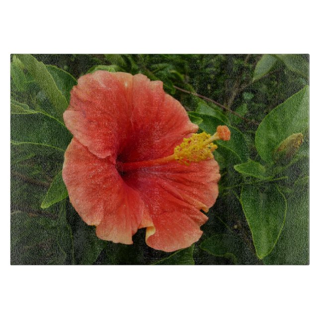 Orange Hibiscus Flower Tropical Floral Cutting Board (Front)