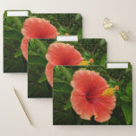Orange Hibiscus Flower Tropical Floral File Folder