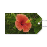 Orange Hibiscus Flower Tropical Floral Gift Tags