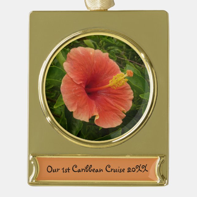Orange Hibiscus Flower Tropical Floral Gold Plated Banner Ornament (Front)