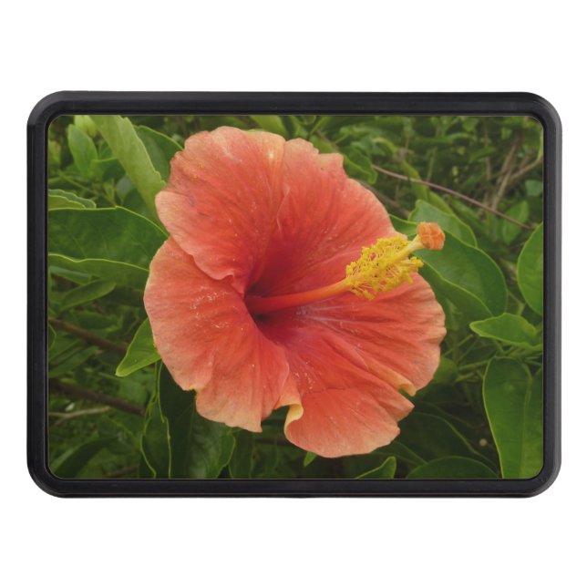 Orange Hibiscus Flower Tropical Floral Hitch Cover (Front)