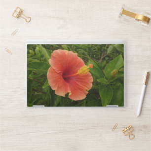 Orange Hibiscus Flower Tropical Floral HP Laptop Skin
