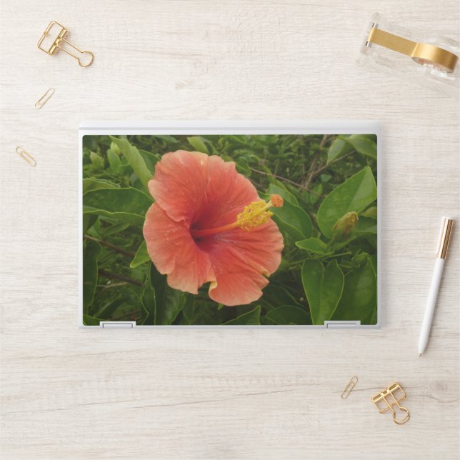 Orange Hibiscus Flower Tropical Floral HP Laptop Skin (Desk)