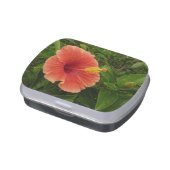 Orange Hibiscus Flower Tropical Floral Jelly Belly Tin (Side)