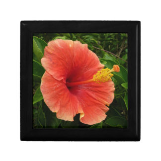 Orange Hibiscus Flower Tropical Floral Jewelry Box