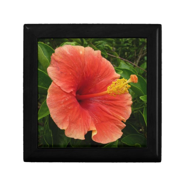 Orange Hibiscus Flower Tropical Floral Jewelry Box (Front)