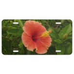 Orange Hibiscus Flower Tropical Floral License Plate