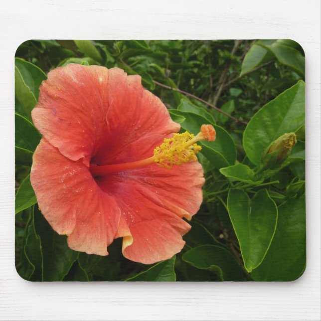 Orange Hibiscus Flower Tropical Floral Mouse Pad (Front)