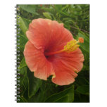 Orange Hibiscus Flower Tropical Floral Notebook