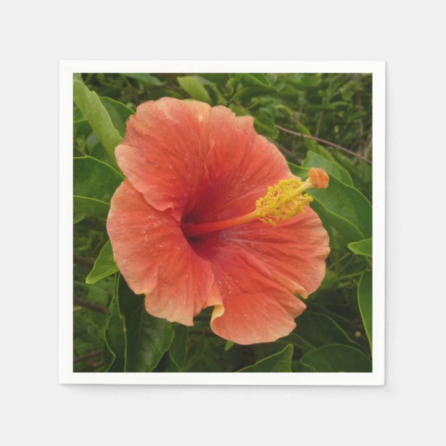 Orange Hibiscus Flower Tropical Floral Paper Napkins (Front)