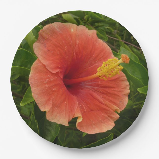 Orange Hibiscus Flower Tropical Floral Paper Plates (Front)