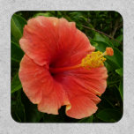 Orange Hibiscus Flower Tropical Floral Patch