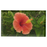 Orange Hibiscus Flower Tropical Floral Place Card Holder