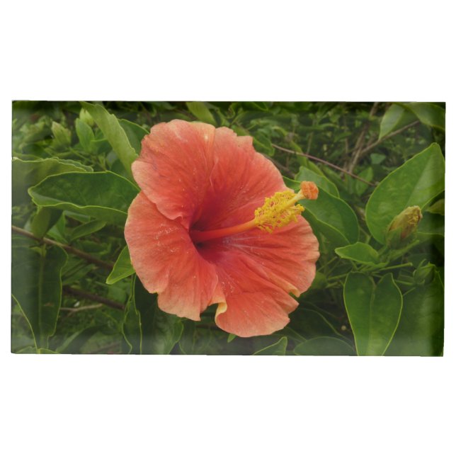 Orange Hibiscus Flower Tropical Floral Place Card Holder (Front)