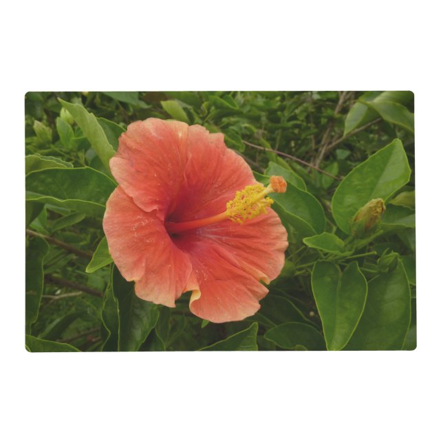 Orange Hibiscus Flower Tropical Floral Placemat (Front)
