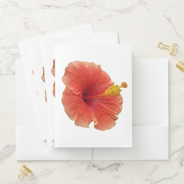 Orange Hibiscus Flower Tropical Floral Pocket Folder (In Situ)
