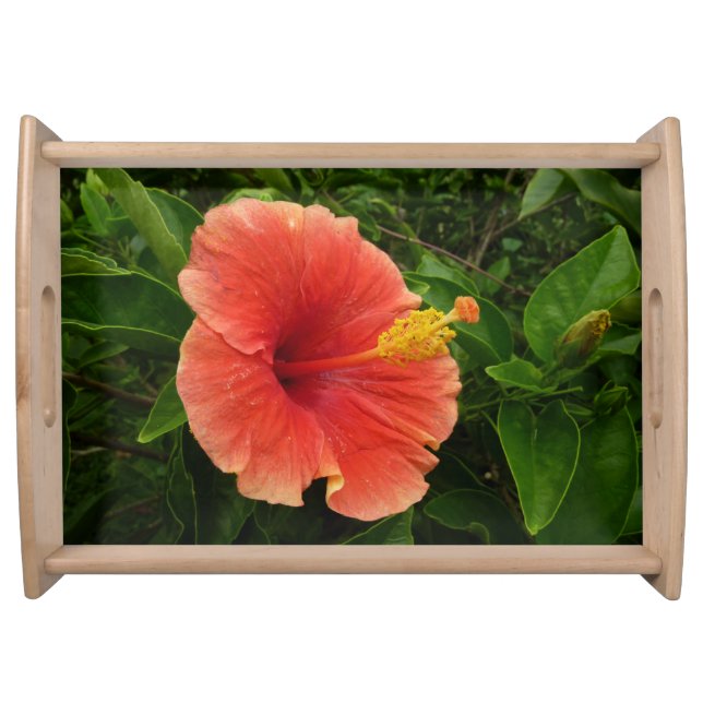 Orange Hibiscus Flower Tropical Floral Serving Tray (Front)