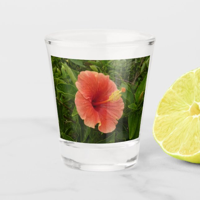 Orange Hibiscus Flower Tropical Floral Shot Glass (Front)