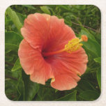 Orange Hibiscus Flower Tropical Floral Square Paper Coaster