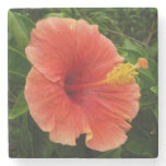 Orange Hibiscus Flower Tropical Floral Stone Coaster
