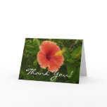 Orange Hibiscus Flower Tropical Floral Thank You Card
