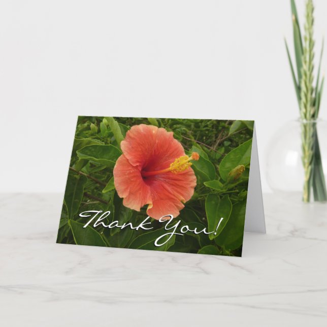 Orange Hibiscus Flower Tropical Floral Thank You Card (Front)