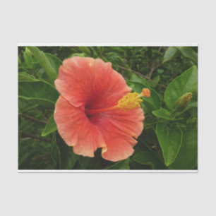 Orange Hibiscus Flower Tropical Floral Tissue Paper
